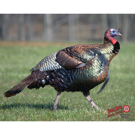 DuraMesh Weatherproof Turkey Archery Target 25 x 32 in.