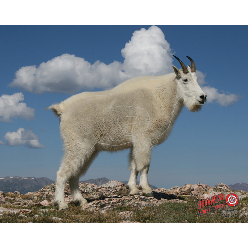 DuraMesh Weatherproof Mountain Goat Archery Target 25 x 32 in.