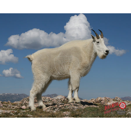 DuraMesh Weatherproof Mountain Goat Archery Target 25 x 32 in.