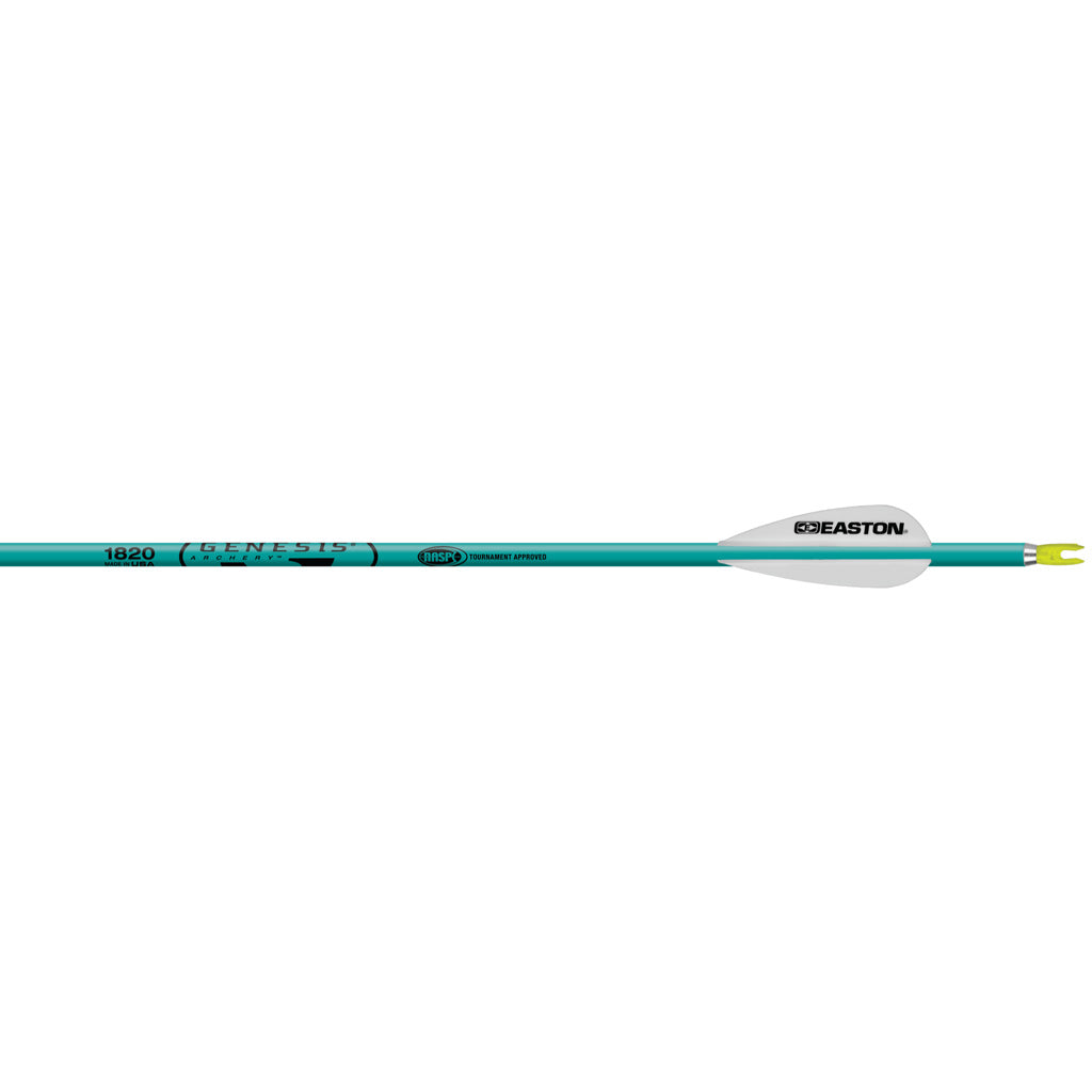 Easton Genesis 1820 NASP Approved Teal Arrows 6 Pack