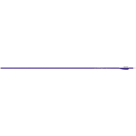 Easton Genesis Arrow 3 in. Vane Purple Pack of 36