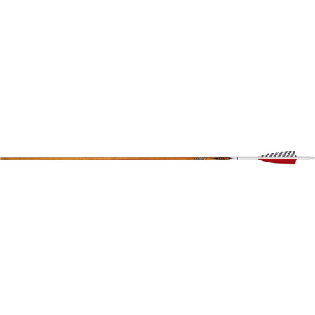 Easton Carbon Legacy 700 4 in. Helical Feather Arrows 6 pk.