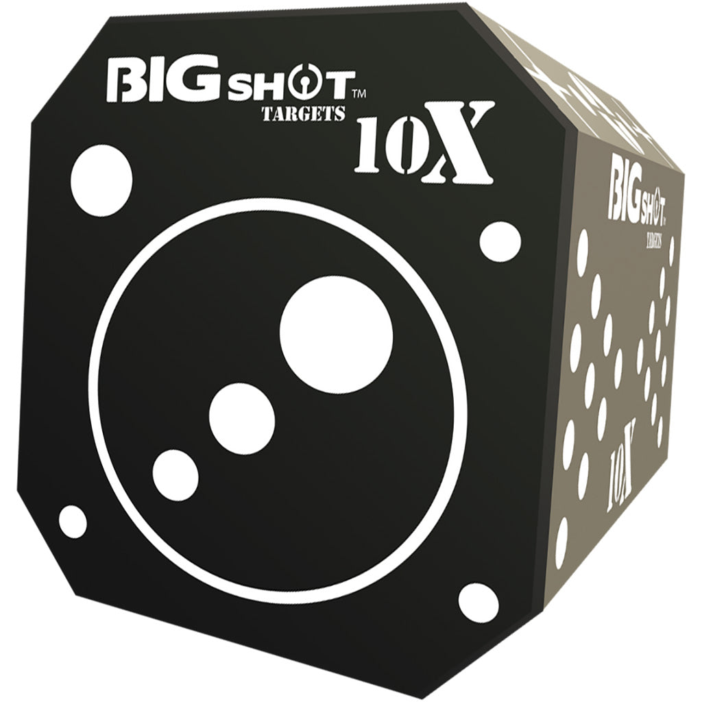 Big Shot Titan 10XL Broadhead Target with 150+ Aiming Points