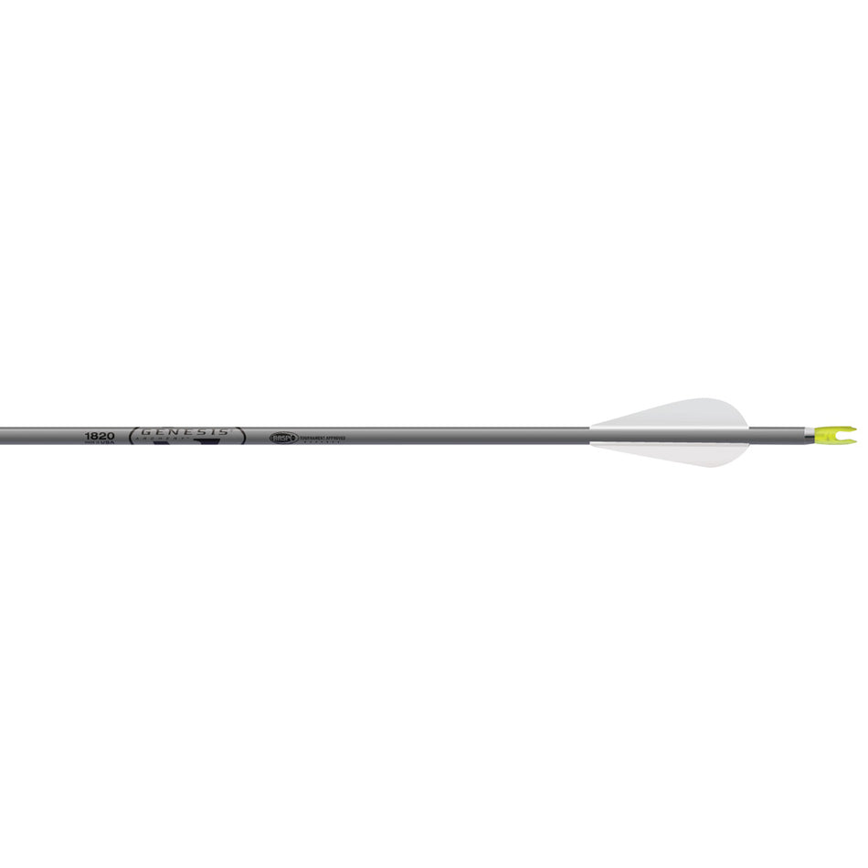 Easton Genesis Tournament Arrows 3 in. Vanes Silver 36 Count