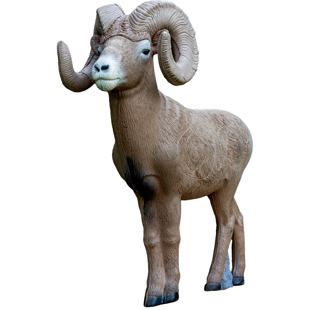 Rinehart Half-Scale Signature Bighorn Sheep Practice Target