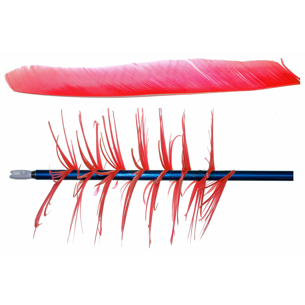 Trueflight Flu-Flu Spiral Wrap Feathers Red Right Wing 100 Pack