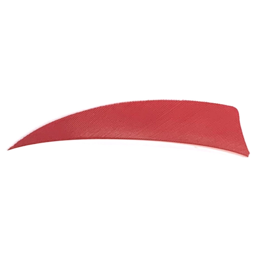Trueflight Red Shield Cut Feathers Left Wing 3 in. 100 Pack