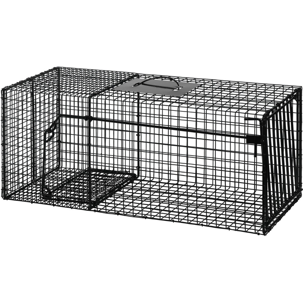 Bridger HD Animal Cage Trap for Raccoons 12x12x29 Inches