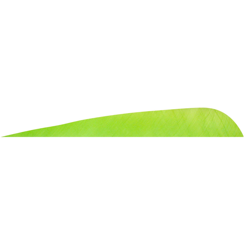 Gateway Chartreuse Parabolic Fletching Feathers 4 in. Right Wing 12 pk.
