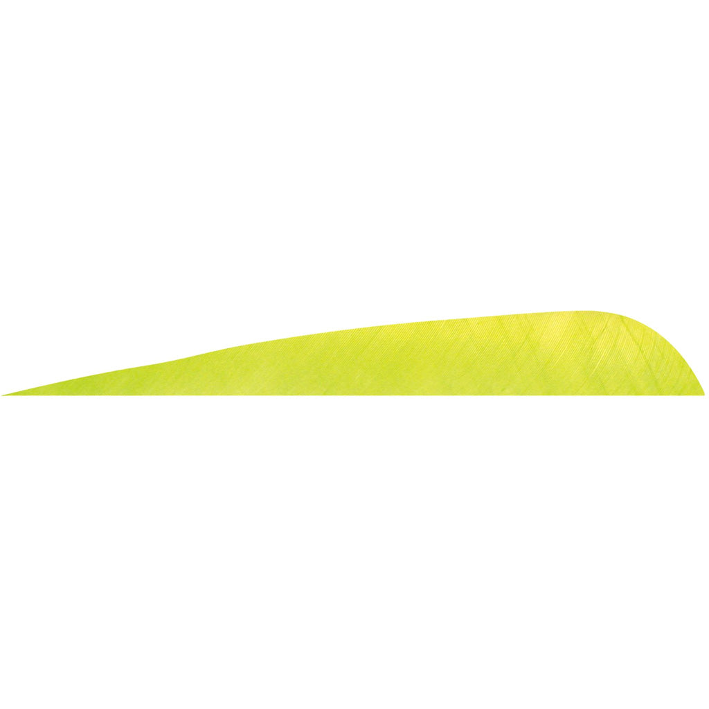 Gateway Lime Parabolic Fletching Feathers 5 in. Right Wing 12 pk.
