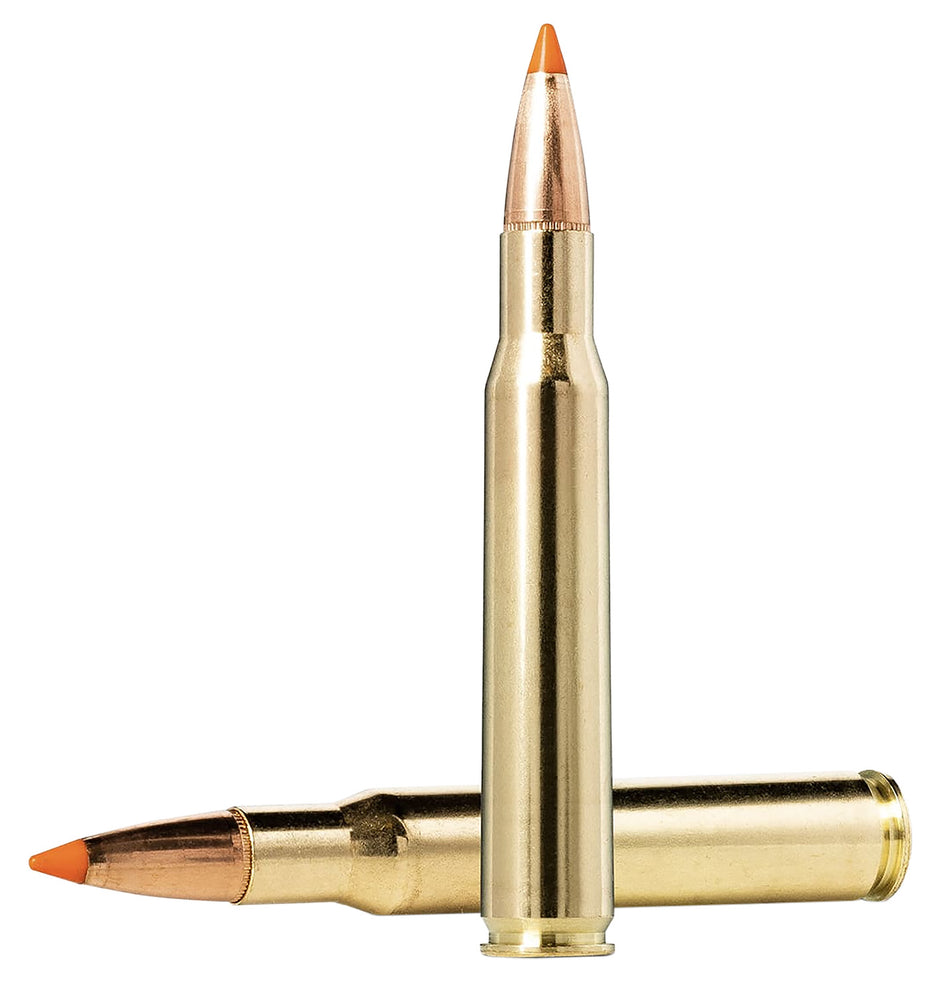 Norma Dedicated Hunting Tipstrike Polymer Tip 170 Grain .30-06 Springfield 2789 fps 7393923318486