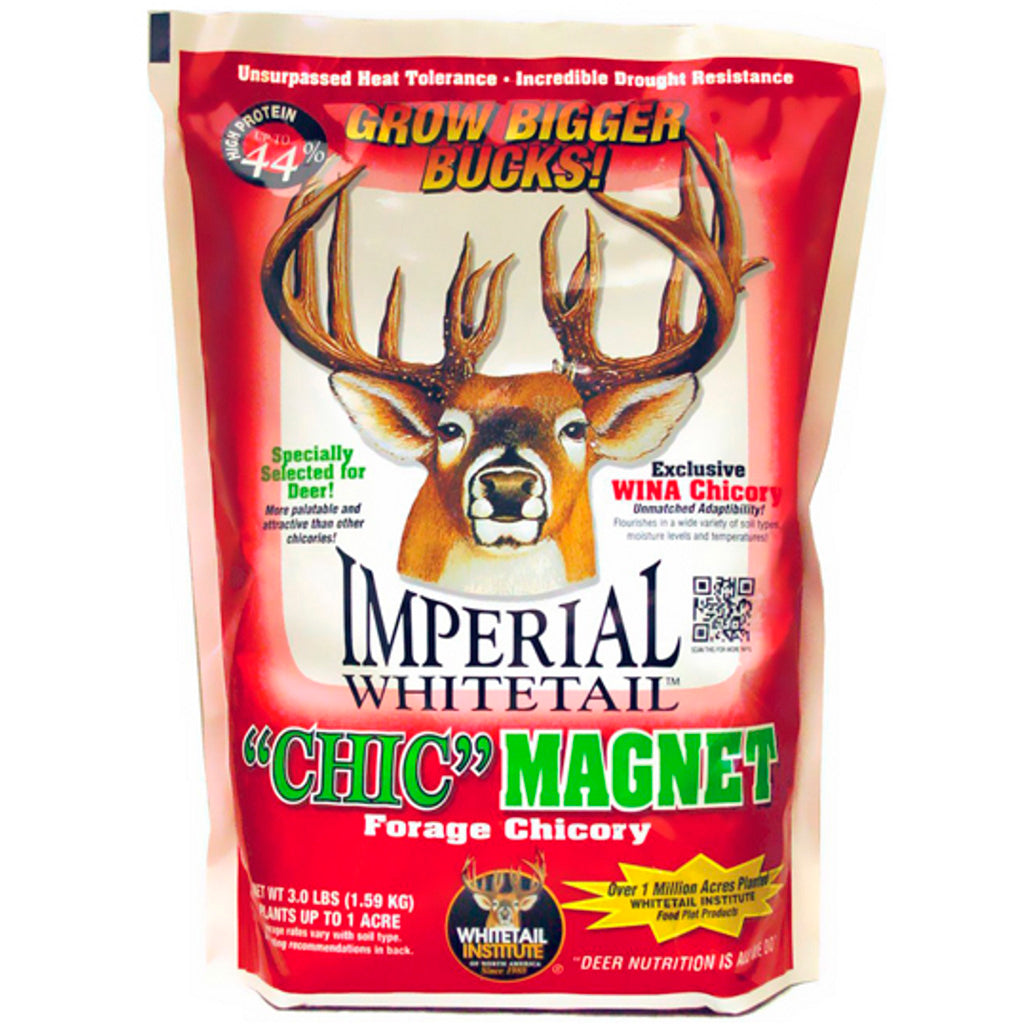 Whitetail Institute Imperial ChicMagnet Perennial Chicory Seed 3 lb