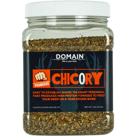 Domain 1/8 Acre Chicory Pounder Wildlife Seed