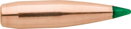 Sierra Tipped GameKing 4665 .308 Winchester 165 Grain Hunting Bullets 100ct