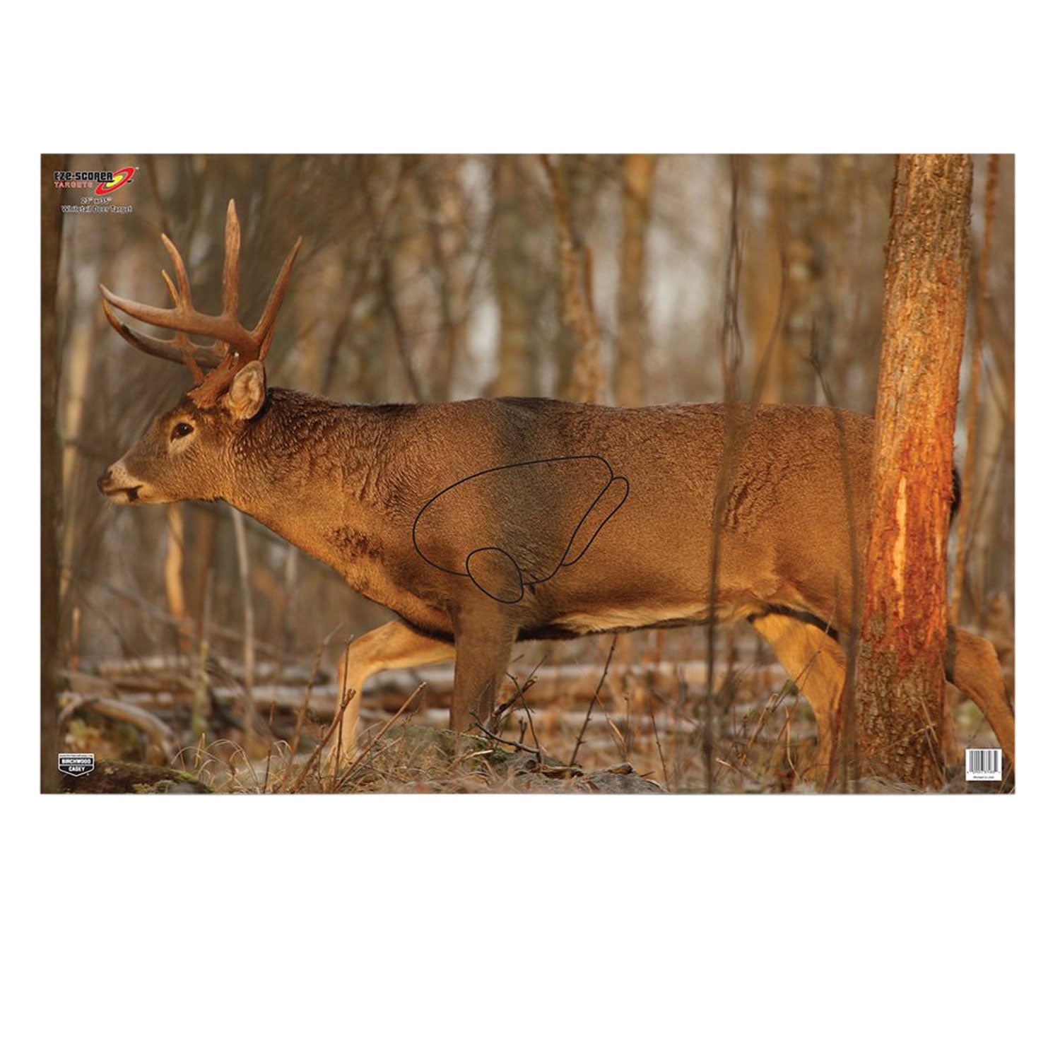 Birchwood Casey EZE-Scorer 37481 Whitetail Deer Hanging Paper Target 23"x35" Multi-Color 2 Count