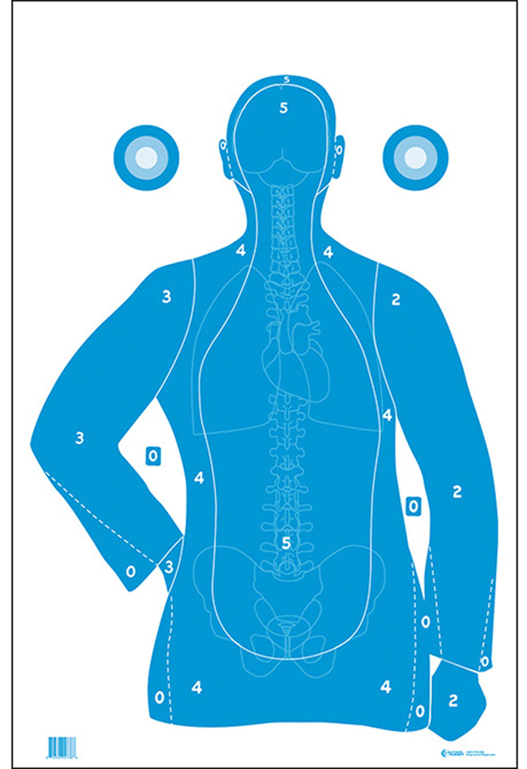 Action Target FB21EANTAV2100 Qualification Silhouette and Vitals Paper Target Blue/White 23x35 100-Count