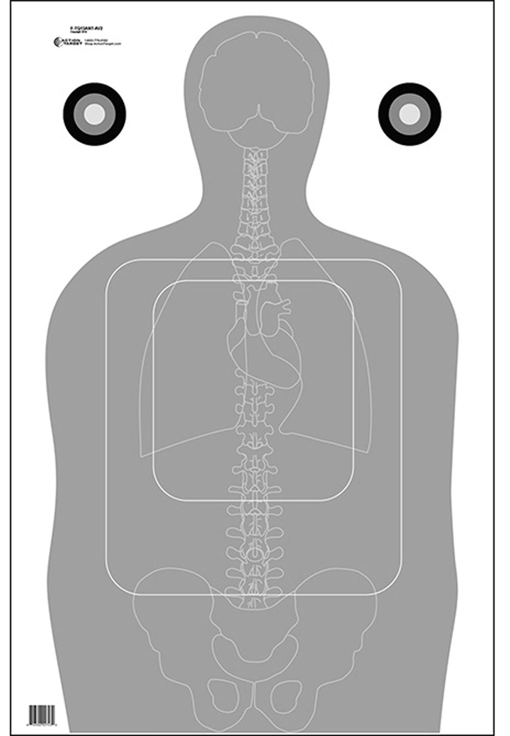 Action Target FTQ15ANTAV2100 TQ-15 Vital Anatomy Training Paper Target Gray/White 23x35 100-Count