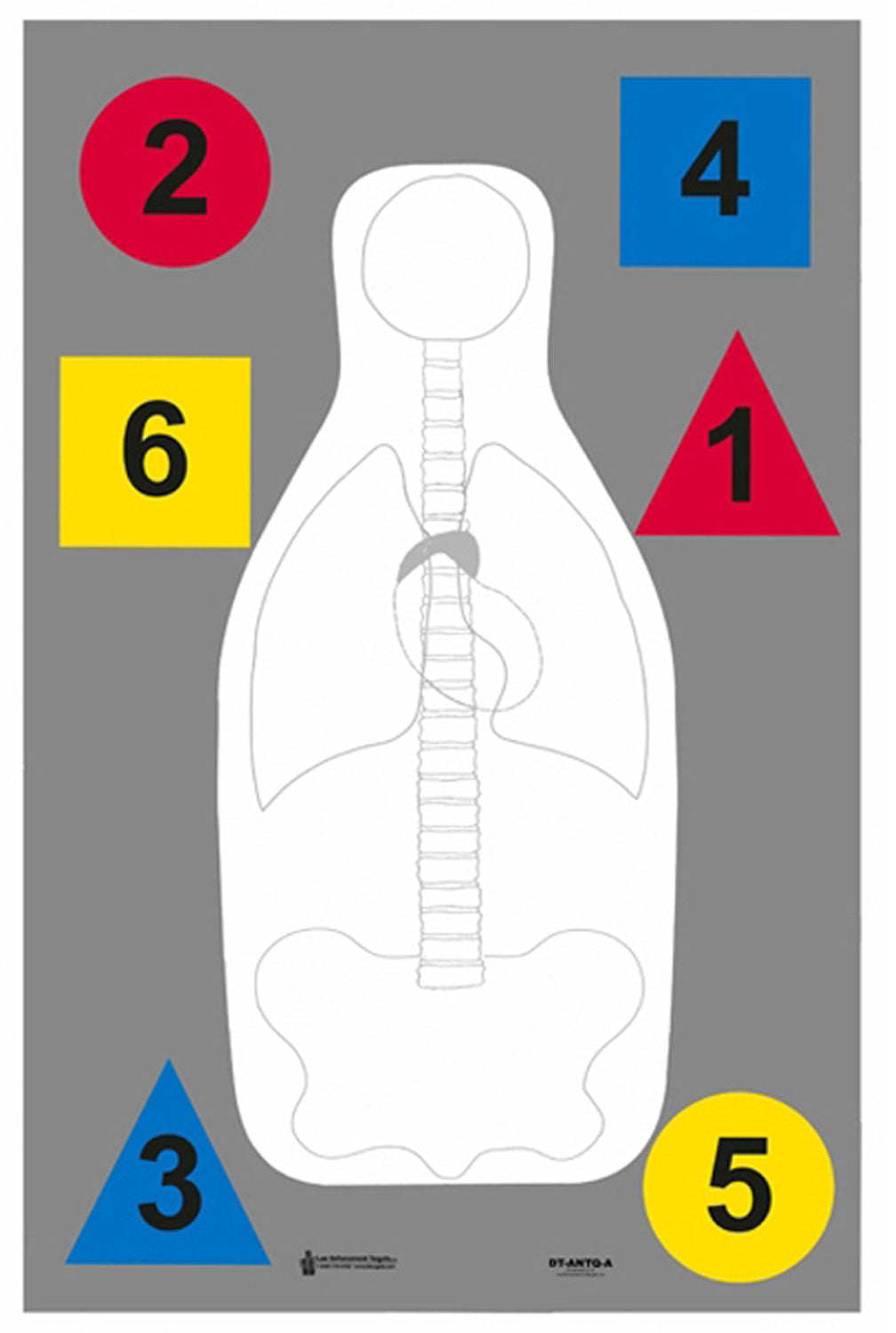 Action Target DTANTQA100 FBI-Q Qualification and Command Training Paper Target 23x35 100-Count
