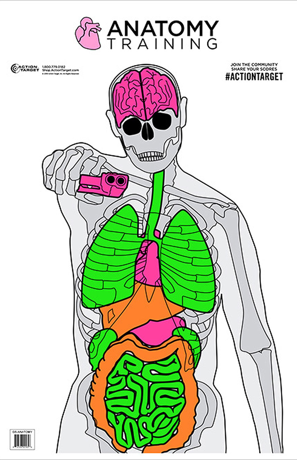 Action Target GSANATOMY100 Self-Defense Vitals Training Anatomy Silhouette Paper Target 23"x35" Box of 100