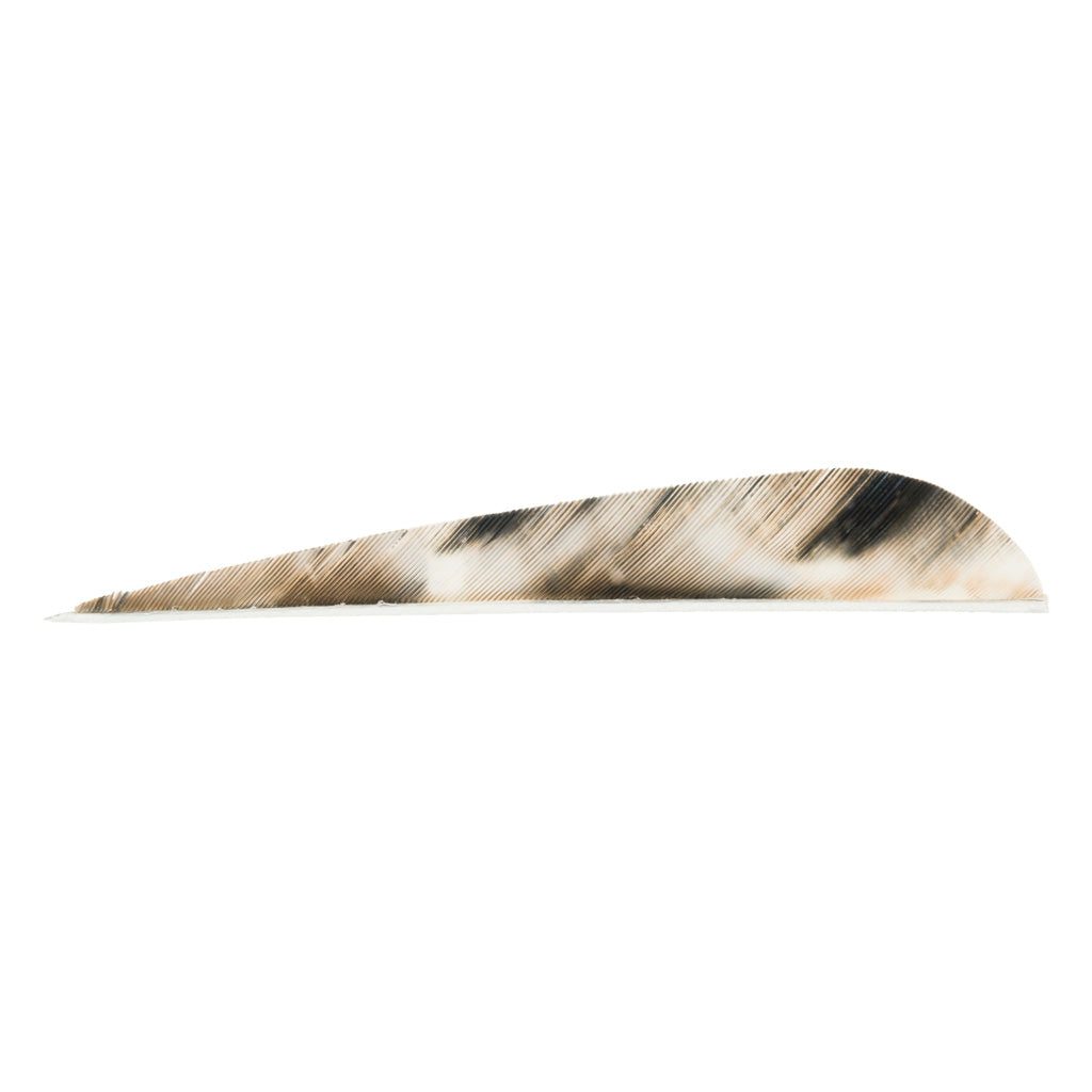 Gateway 4 in. Tre-Bark TreBark Camo Feathers Right Wing Pack of 100