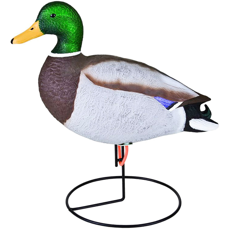 Flambeau 6-Pack Full Body Field Mallard Decoys with Rotational Heads