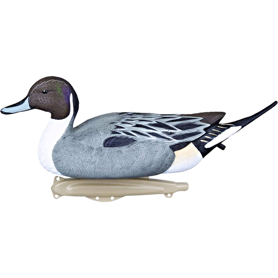 Flambeau 6-Pack Classic Pintail Decoys Full Size with Proprietary Keel
