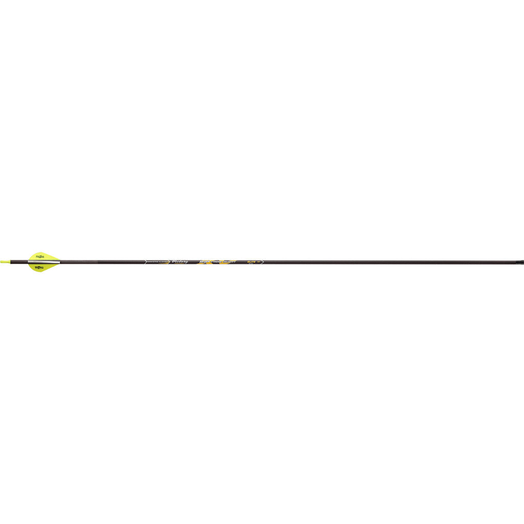 Victory RIP XV Elite Carbon Arrows 350 2 in. Vanes 6 pk.