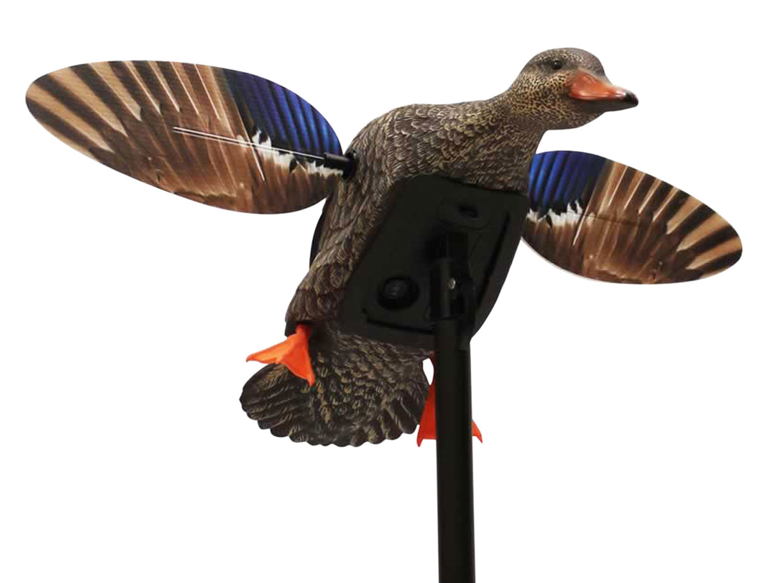 Mojo Outdoors HW24713P Mini Mallard Hen Elite Series Decoy with Multi-Decoy Remote