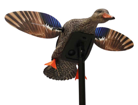 Mojo Outdoors HW24713P Mini Mallard Hen Elite Series Decoy with Multi-Decoy Remote