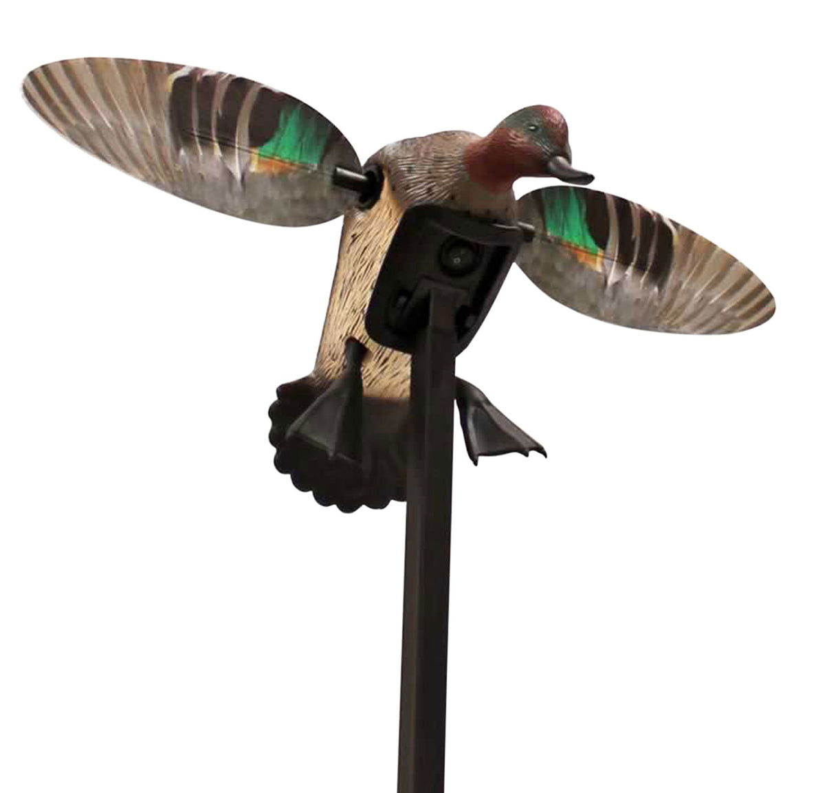 Mojo Outdoors HW24743P Green Winged Teal Elite Series Decoy with Rechargeable Battery