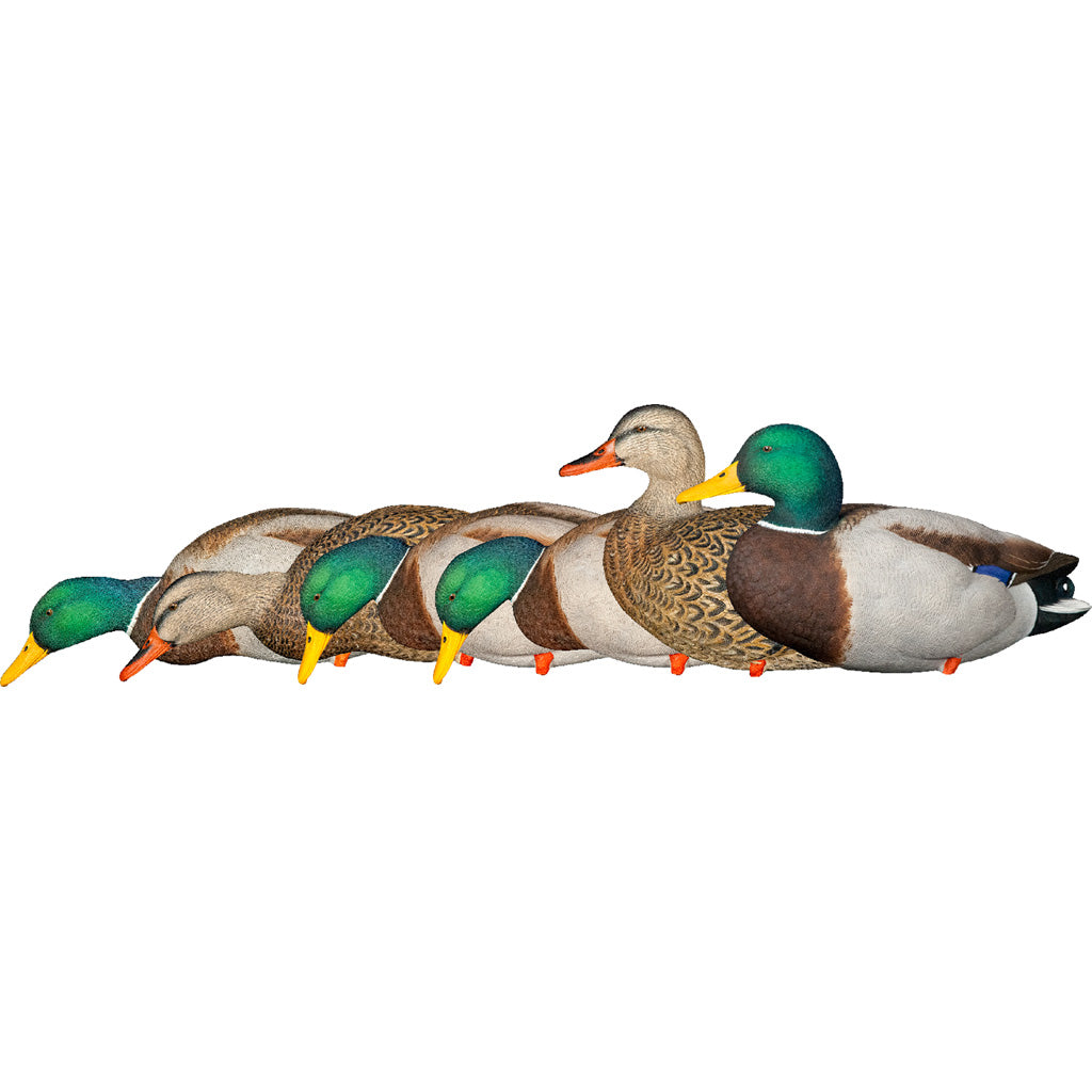 AvianX AXP Fusion Mallard Full Body Hunting Duck Decoys 6 pk.