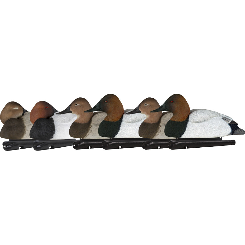 AvianX Top Flight Canvasback Duck Hunting Decoys 6 pk.
