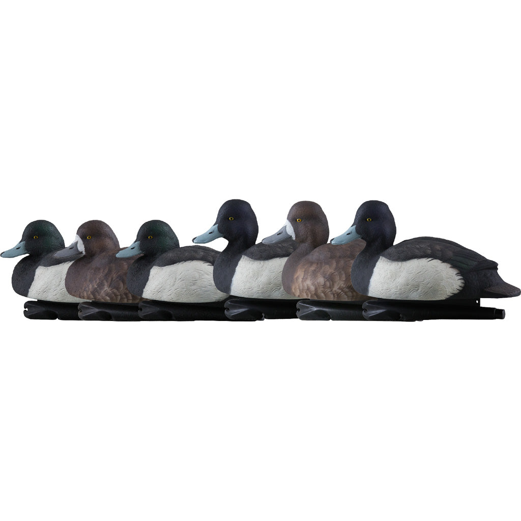 AvianX Top Flight Blue Bill Diving Duck Hunting Decoys 6 pk.