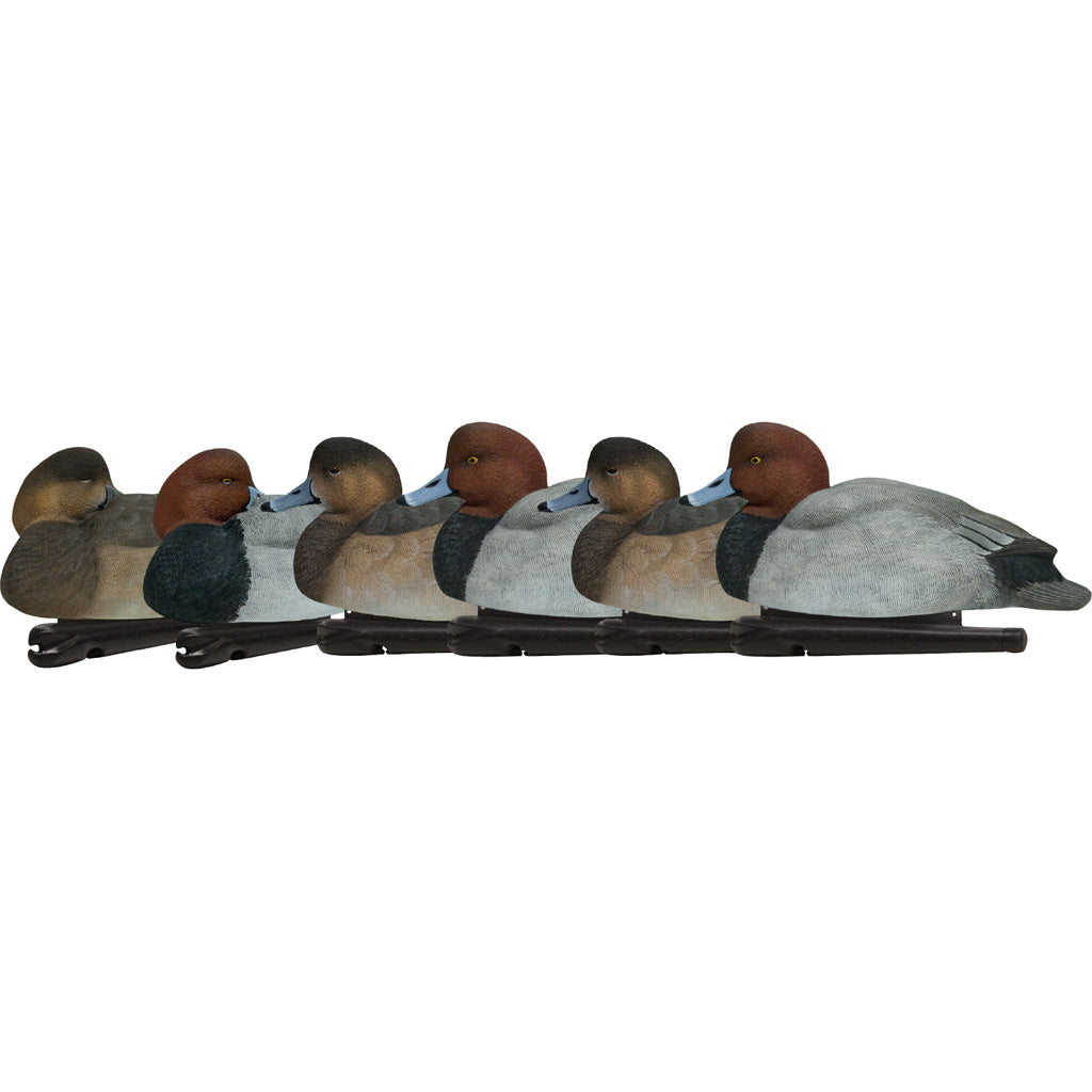 AvianX Top Flight Redhead Duck Hunting Decoys 6 pk.
