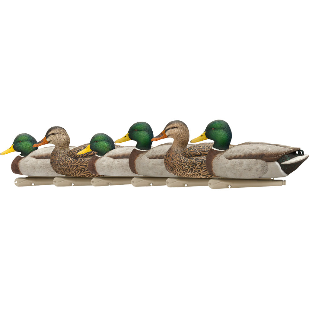 AvianX Top Flight Open Water Floating Mallard Hunting Decoys 6 pk.