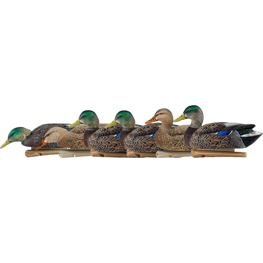AvianX Top Flight Early Season Floating Mallard Duck Decoys 6 pk.