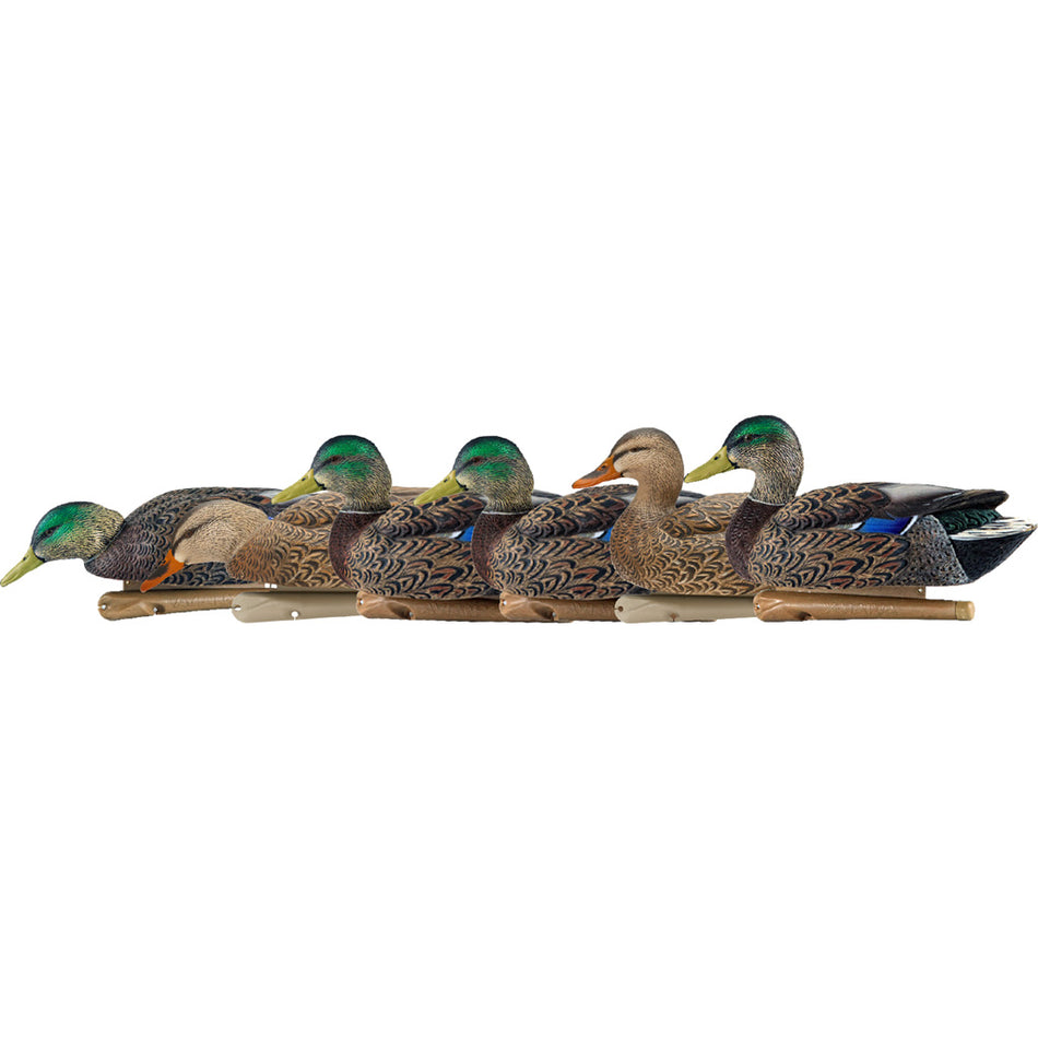 AvianX Top Flight Early Season Floating Mallard Duck Decoys 6 pk.