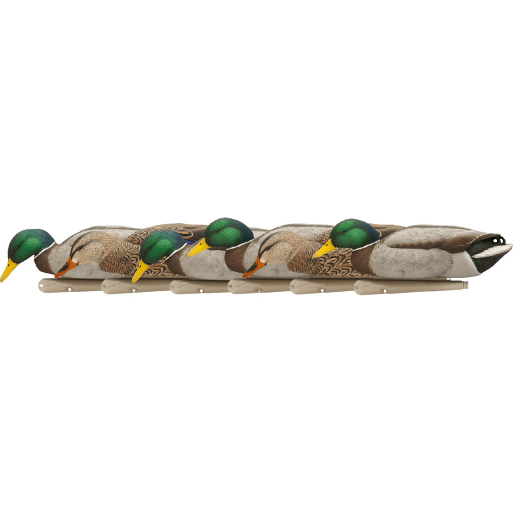 AvianX Top Flight Backwater Feeding Mallard Duck Decoys 6 pk.