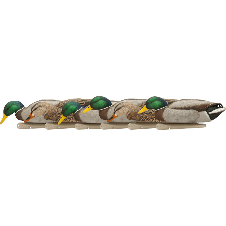 AvianX Top Flight Backwater Feeding Mallard Duck Decoys 6 pk.