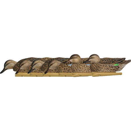 AvianX Top Flight Early Season Blue and Green Winged Teal Decoys 6 pk.
