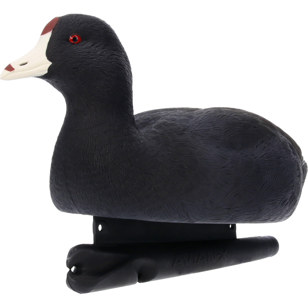 Avian X Topflight Floating Coot Duck Decoy Set of 6