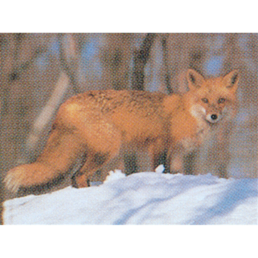 Delta McKenzie Fox Tru-Life Vital Zone Target 21x28 in.