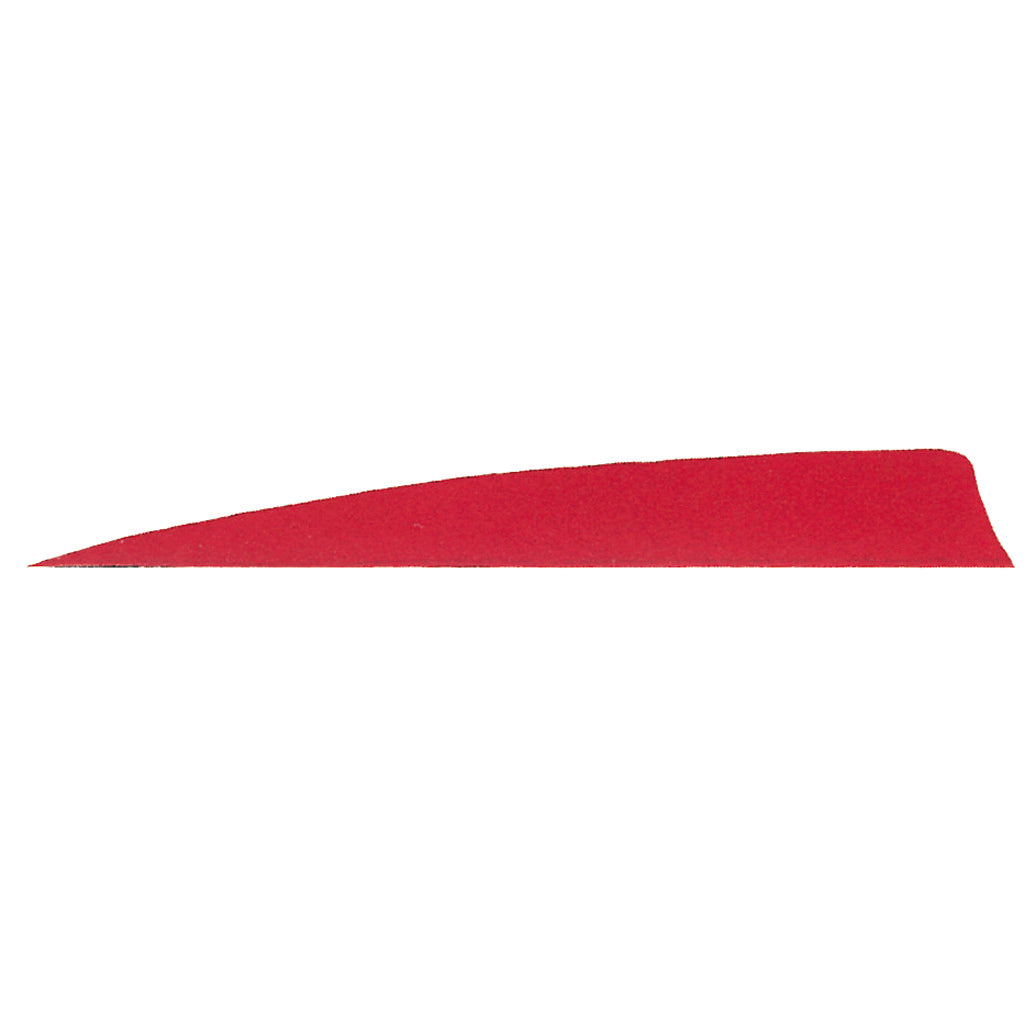 Gateway 5 in. Red Shield Cut Feathers Right Wing Pack of 50