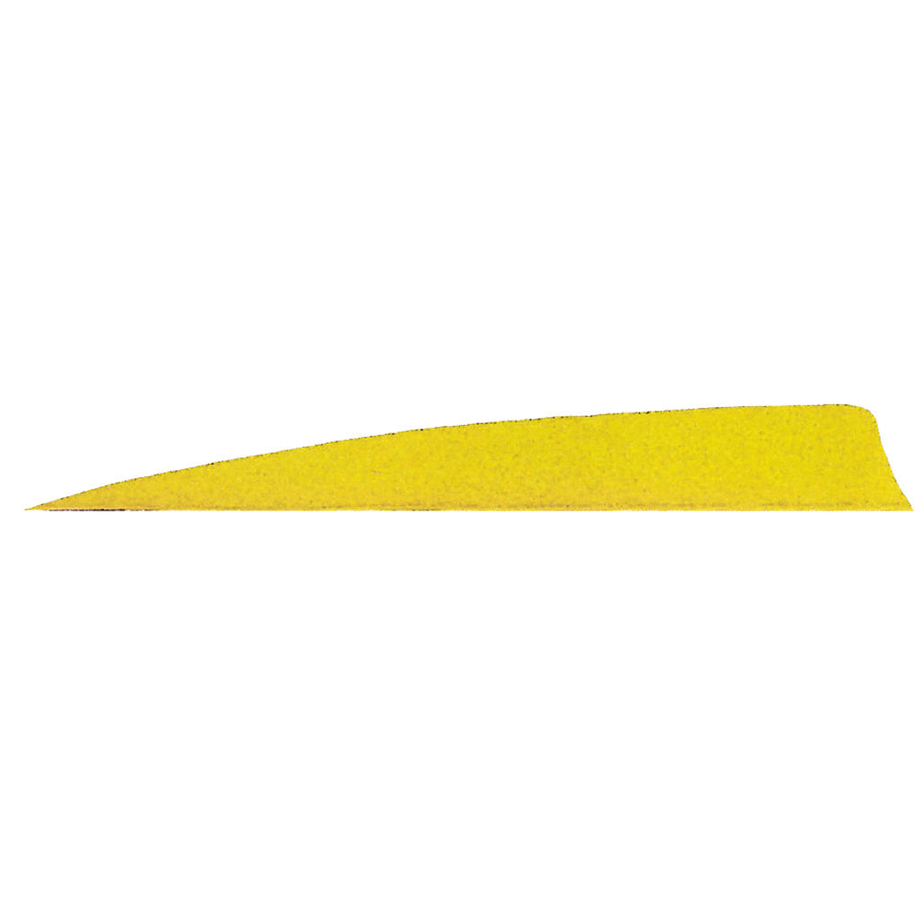 Gateway 5 in. Neon Yellow Shield Cut Feathers Right Wing Pack of 50