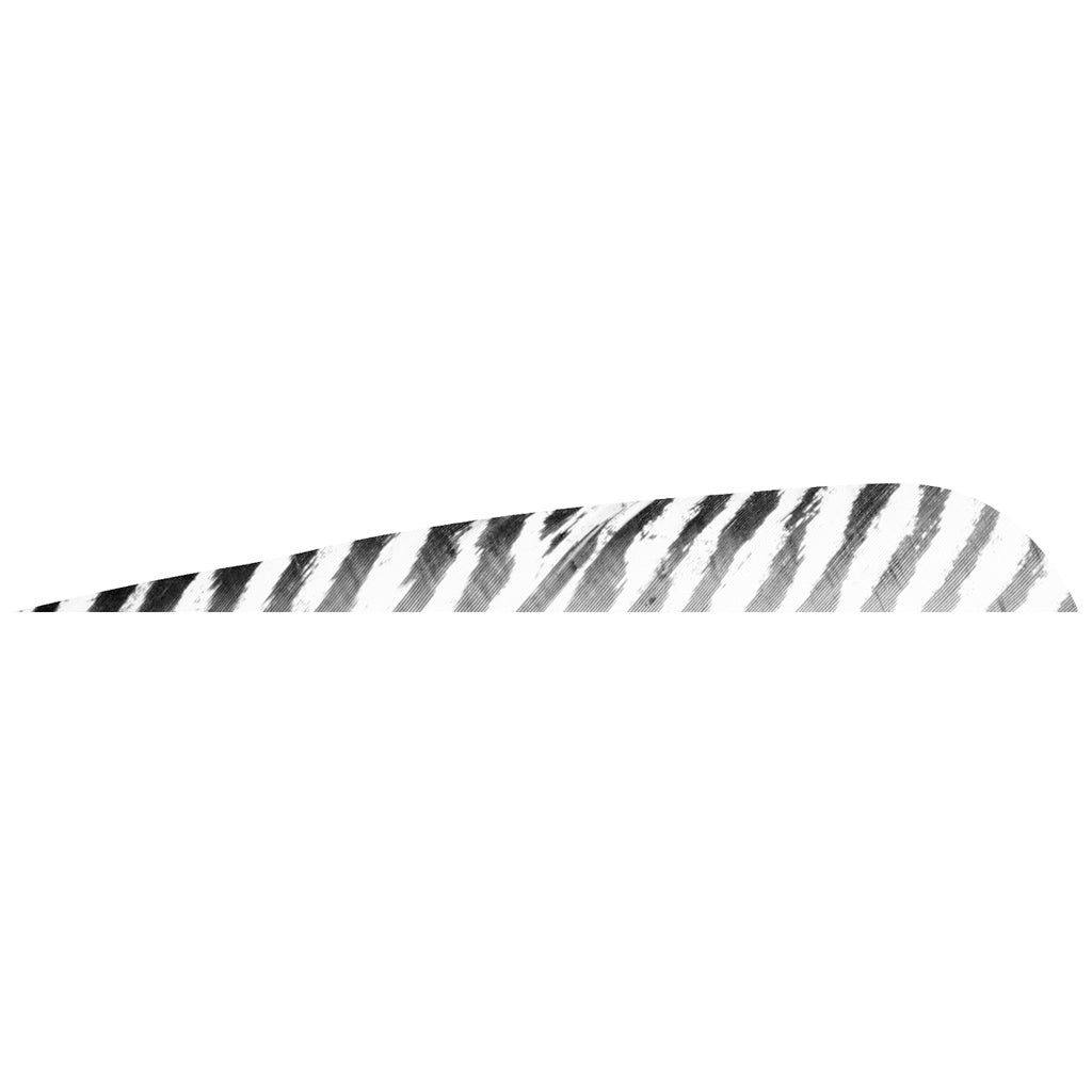 Gateway 5 in. White Barred Parabolic Feathers Right Wing Pack of 50
