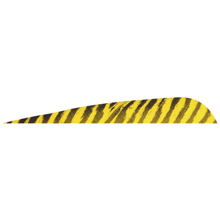 Gateway 5 in. Yellow Barred Parabolic Feathers Right Wing Pack of 50