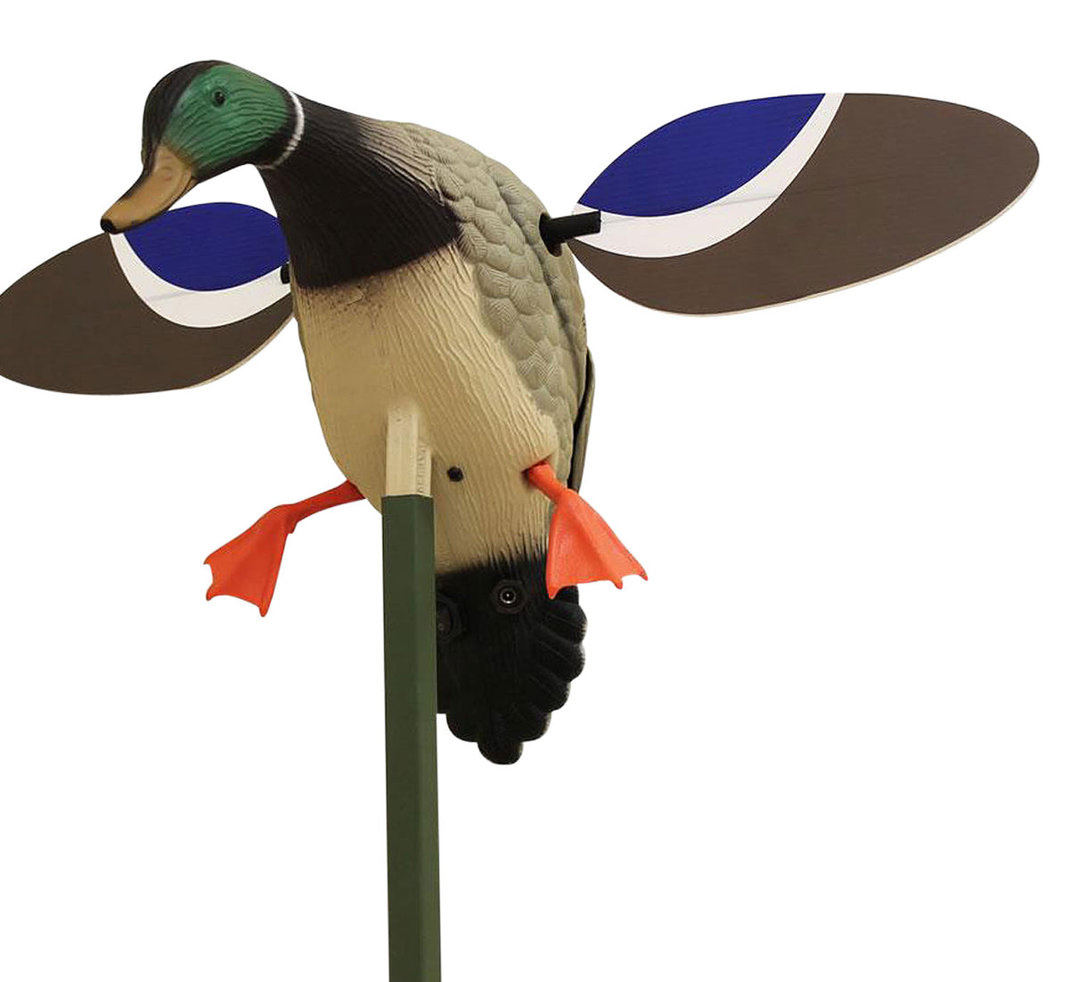 Mojo Outdoors HW4401 Baby Drake Mallard Species Decoy with External Charging Port, Synthetic