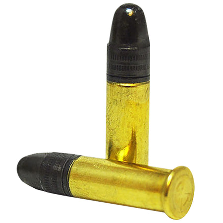 SK .22 Long Rifle Standard Plus 40 grain Lead Round Nose ammunition