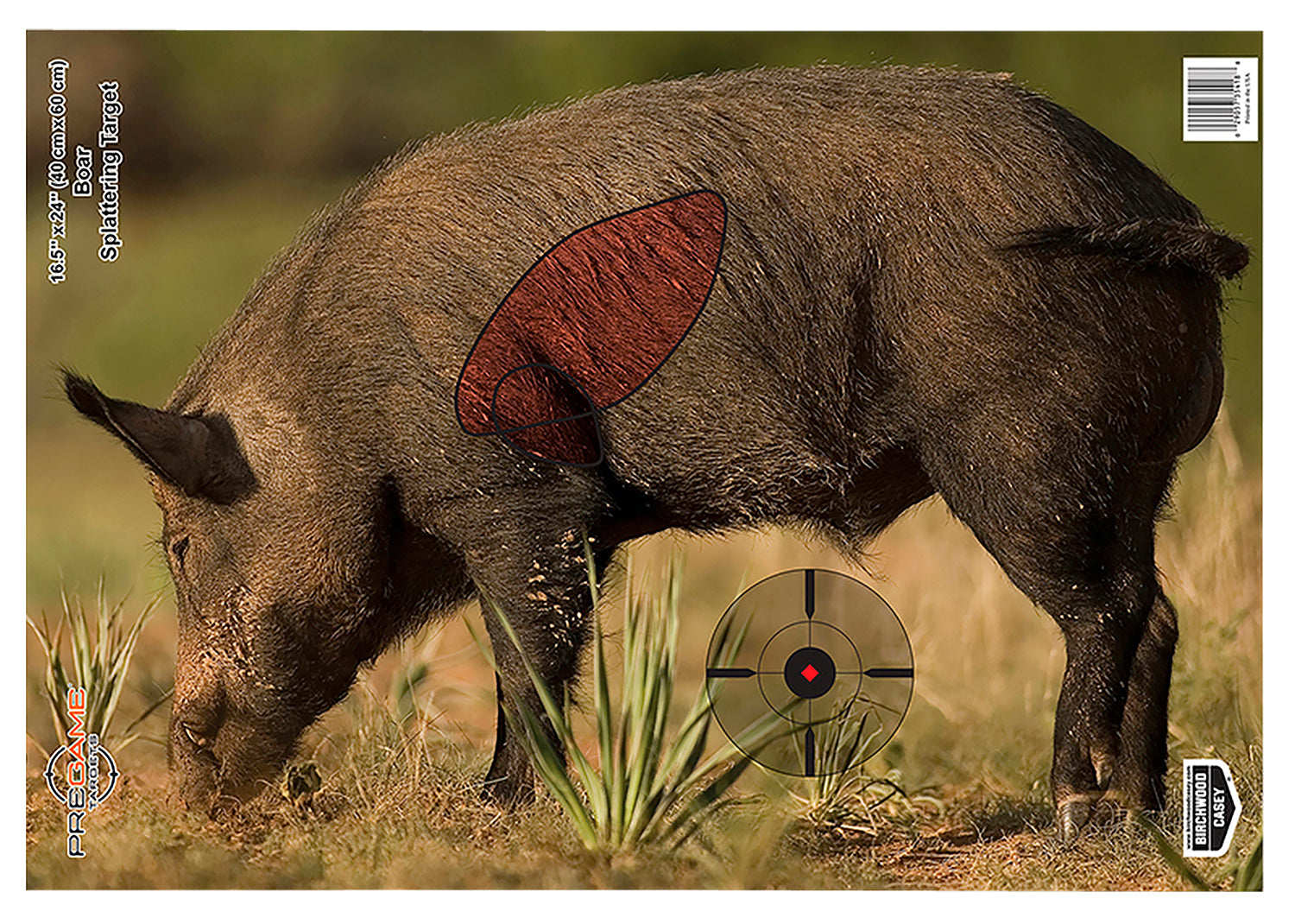 Birchwood Casey Pregame Boar Realistic Paper Target 16.50"x24" Impact Splatter 3 Per Pkg