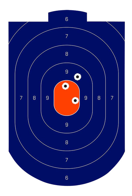 Birchwood Casey 35714 Dirty Bird Splattering Silhouette Target 12x18" 100 Per Pkg